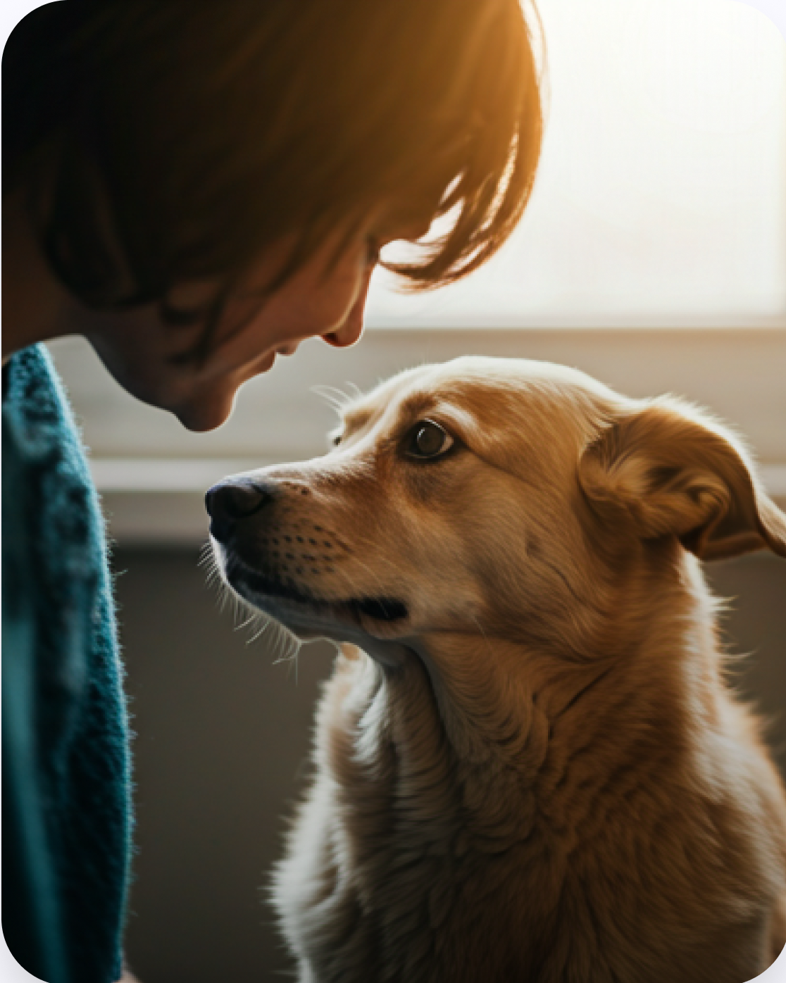 Pet parent looking at a dog
